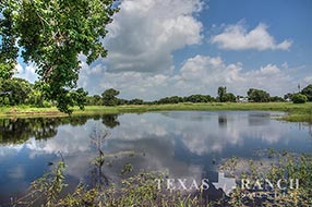 Live water ranch 1099 acres, Jackson county image 1