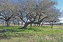 1142 acre ranch Medina County image 9