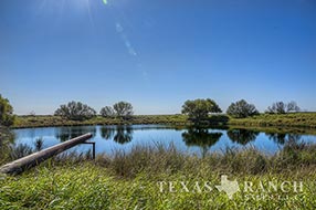 South Texas ranch 1176 acres, Zavala county image 1