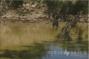 ranch 124 acres, Duval county - image