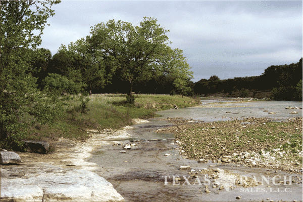 ranch 1416 acres, Medina county - image
