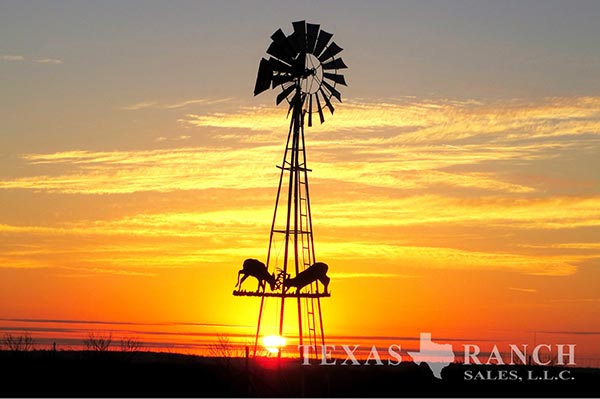 McLennan County 134 Acre Ranch Image Gallery.