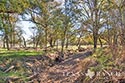 134 acre ranch McLennan County image 34
