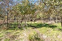 134 acre ranch McLennan County image 38