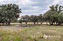 1527 acre ranch Medina County image 15