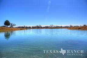 South Texas ranch 1761 acres, Zavala county image 2