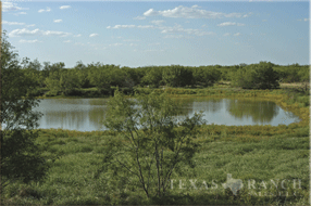 ranch 1807 acres, Webb county - image