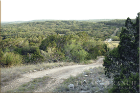 hunting ranch 188 acres, Medina county image