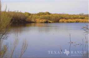 ranch 2050 acres, Dimmit county image