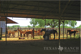 Hunting ranch 2079 acres, Frio county - image