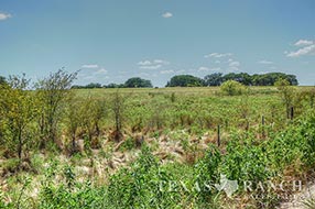 Central Texas hunting sale 214 acres, Hamilton county image 1