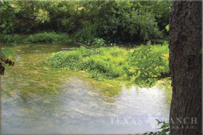 hunting ranch 220 acres Guadalupe county