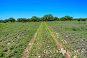 2245 acre ranch Schleicher County image 18