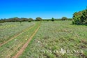 2245 acre ranch Schleicher County image 19