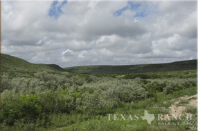 ranch real estate sale, 2293 acres, image 6