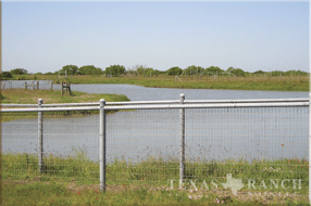 ranch real estate sale, 237 acres, image 12