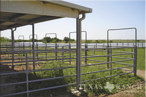 ranch real estate sale, 237 acres, image 14
