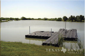 ranch real estate sale, 237 acres, image 2