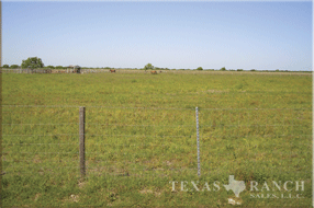ranch real estate sale, 237 acres, image 3