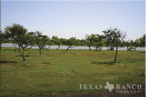 ranch real estate sale, 237 acres, image 5
