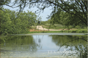 ranch 269 acres, Wilson county - image
