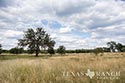 2731 acre ranch Medina County image 83