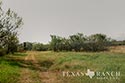278 acre ranch Medina County image 29