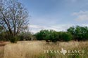 278 acre ranch Medina County image 30