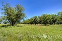 278 acre ranch Medina County image B11