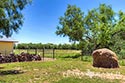 278 acre ranch Medina County image B2