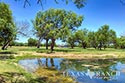 278 acre ranch Medina County image B4