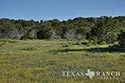 316 acre ranch Sutton County image 2