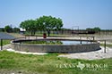 3225 acre ranch Zavala County image 14