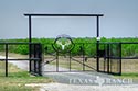 3225 acre ranch Zavala County image 1