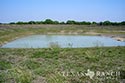 3225 acre ranch Zavala County image 20
