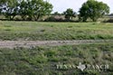 3225 acre ranch Zavala County image 25