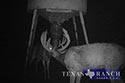 3225 acre ranch Zavala County image 28