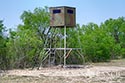 3225 acre ranch Zavala County image 2
