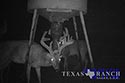 3225 acre ranch Zavala County image 31