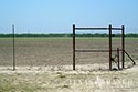 3225 acre ranch Zavala County image 3