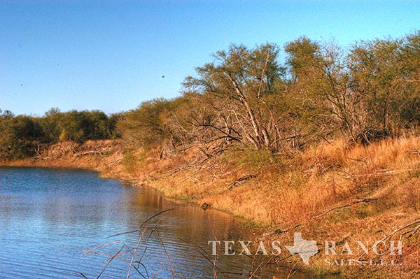 Live Oak County 321 Acre Ranch Image Gallery.