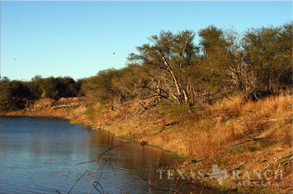 Live water ranch 321 acres, Live Oak county image 1