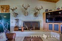 3225 acre ranch Zavala County image 18