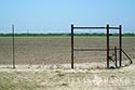 3225 acre ranch Zavala County image 47