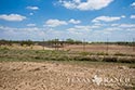 3225 acre ranch Zavala County image 64