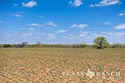 3225 acre ranch Zavala County image 73