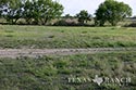 3225 acre ranch Zavala County image 80