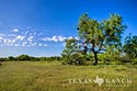 3235 acre ranch Zavala County image 3