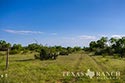 3235 acre ranch Zavala County image 5