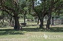 342 acre ranch Medina County image 40